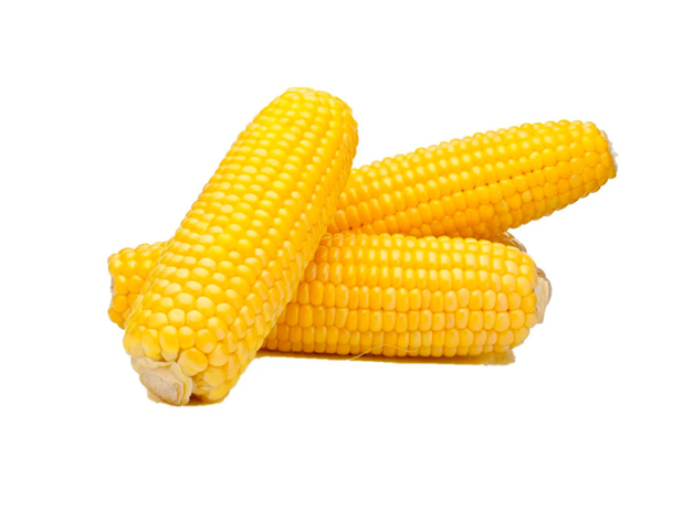 Sweet Corn